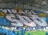 06-OM-LYON 03